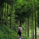 远山小筑民宿 - 成都市旅游 缩略图 4