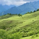 云中牧场 - 阿坝藏族羌族自治州旅游 缩略图 1