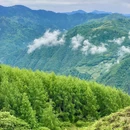 云中牧场 - 阿坝藏族羌族自治州旅游 缩略图 3