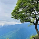 云中牧场 - 阿坝藏族羌族自治州旅游 缩略图 2