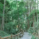 都江堰新华海颐·御垒山居酒店 - 成都市旅游 缩略图 6