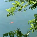 柯岩风景区 - 绍兴市旅游 缩略图 7