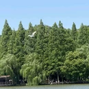 柯岩风景区 - 绍兴市旅游 缩略图 6