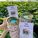 柏诗酒店(杭州501城市广场店) - 杭州市旅游 缩略图 7