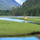 姑弄村 - 甘孜藏族自治州旅游 缩略图 5