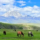姑弄村 - 甘孜藏族自治州旅游 缩略图 9