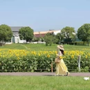 苏州上方山国家森林公园 - 苏州市旅游 缩略图 2