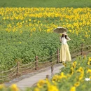 苏州上方山国家森林公园 - 苏州市旅游 缩略图 5