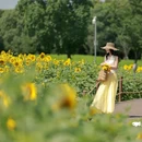 苏州上方山国家森林公园 - 苏州市旅游 缩略图 4
