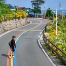 温州南麂岛 - 温州市旅游 缩略图 5