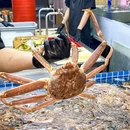 水货之光·海鲜烤肉·深海活鲜 - 深圳市旅游 缩略图 8