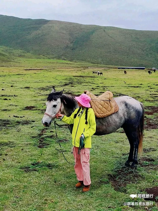 久治路 - 果洛藏族自治州旅游