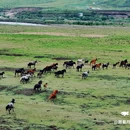 久治路 - 果洛藏族自治州旅游 缩略图 8