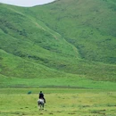 久治路 - 果洛藏族自治州旅游 缩略图 6