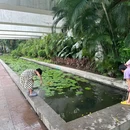 花都人民公园 - 广州市旅游 缩略图 7