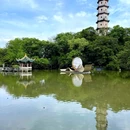 江心屿景区 - 温州市旅游 缩略图 2