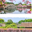 宝墨园景区 - 广州市旅游 缩略图 4