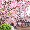 宝墨园景区 - 广州市旅游 缩略图 1