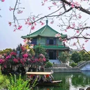 宝墨园景区 - 广州市旅游 缩略图 3