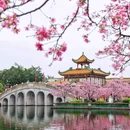 宝墨园景区 - 广州市旅游 缩略图 2