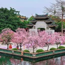 宝墨园景区 - 广州市旅游 缩略图 8