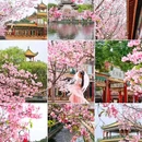宝墨园景区 - 广州市旅游 缩略图 9