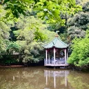 西樵山国家地质公园 - 佛山旅游 缩略图 2
