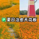 翰林湖农业公园 - 佛山市旅游 缩略图 1
