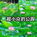 东苑公园 - 广州市旅游 缩略图 1