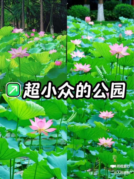 东苑公园 - 广州市旅游