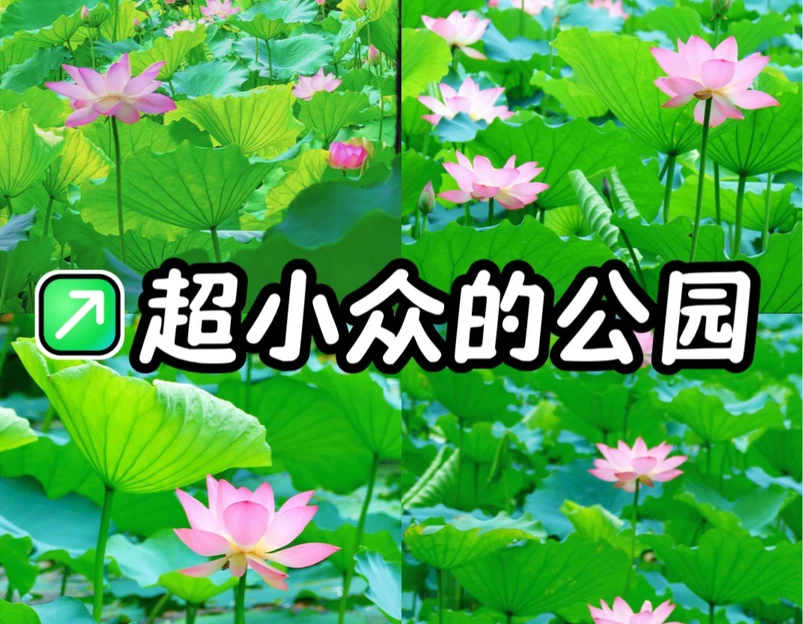 东苑公园 - 广州市旅游 1