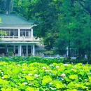 东苑公园 - 广州市旅游 缩略图 2