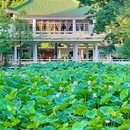 东苑公园 - 广州市旅游 缩略图 8