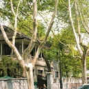 北山街历史文化街区 - 杭州市旅游 缩略图 4