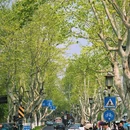 北山街历史文化街区 - 杭州市旅游 缩略图 2