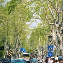 北山街历史文化街区 - 杭州市旅游 缩略图 8