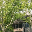 北山街历史文化街区 - 杭州市旅游 缩略图 7