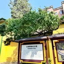 昆明老街纸片楼 - 昆明市旅游 缩略图 9