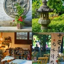 中山 - 中国旅游 缩略图 3