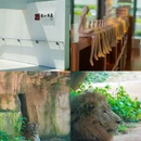 中山 - 中国旅游 缩略图 8
