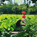 南浔古镇景区 - 湖州市旅游 缩略图 1