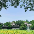 南浔古镇景区 - 湖州市旅游 缩略图 5