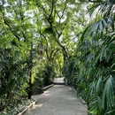 鹅岭公园 - 重庆市旅游 缩略图 9