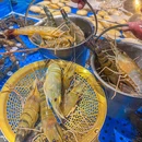 舟市水产活海鲜·榴莲自助(龙华观澜湖店) - 深圳市旅游 缩略图 6