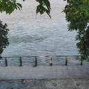 梅园 - 金华旅游 缩略图 7