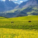 格聂神山 - 甘孜藏族自治州旅游 缩略图 4
