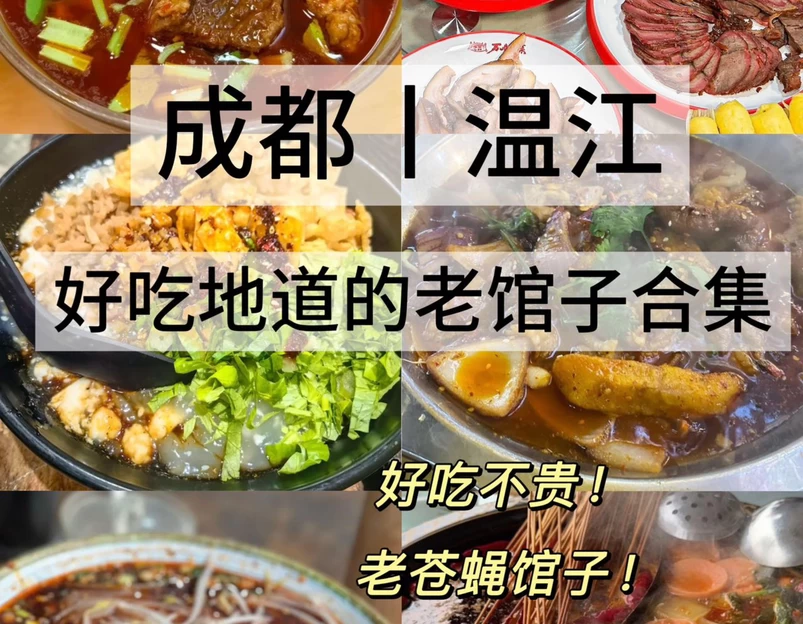 成都大熊猫繁育研究基地 - 成都市旅游 1