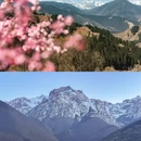 天堂寺 - 武威市旅游 缩略图 7