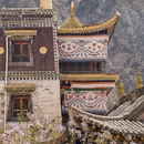 天堂寺 - 武威市旅游 缩略图 8