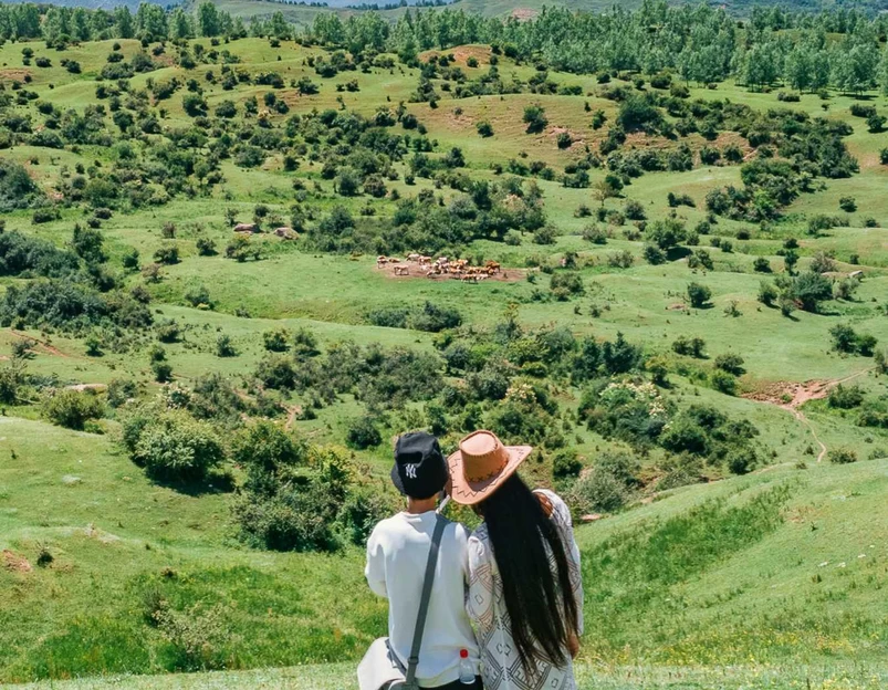耳子屲梁景区 - 临夏回族自治州旅游 1